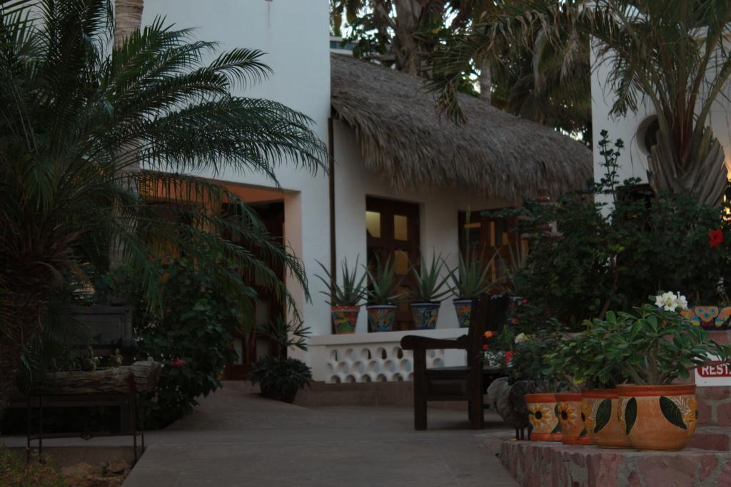 Casa Costa Azul Hotel San Jose del Cabo Exterior photo