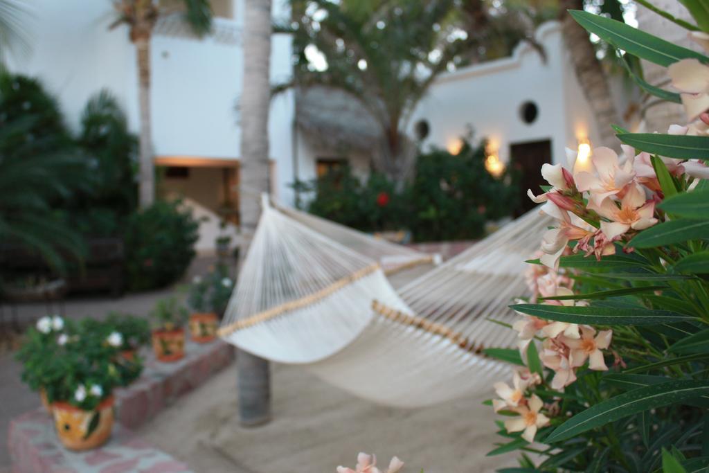 Casa Costa Azul Hotel San Jose del Cabo Exterior photo