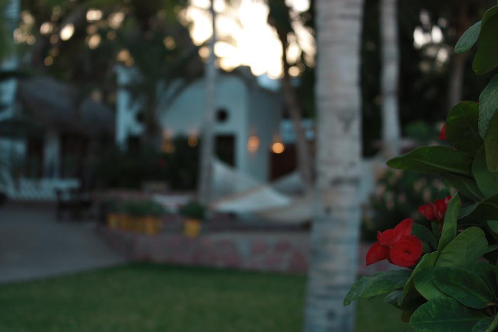 Casa Costa Azul Hotel San Jose del Cabo Exterior photo